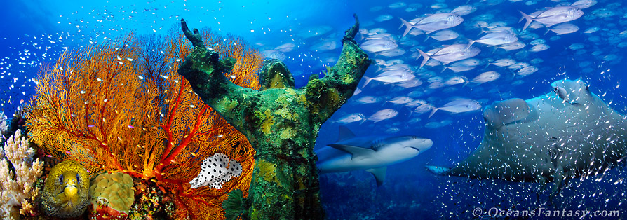 See Underwater Fantasy Images!!